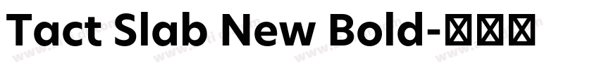 Tact Slab New Bold字体转换